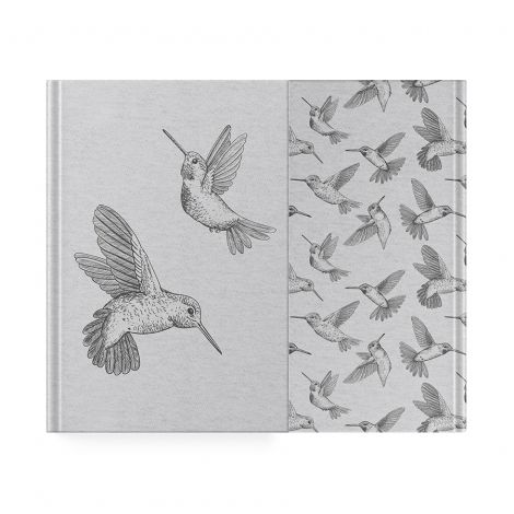 Planer Paso Kolibry na magnes